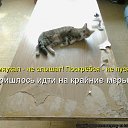 ���� ����, ������ - ��������� 5 ������� 2013 � ������ ���� ����������