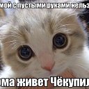 ���� ����, ������, 51 ��� - ��������� 10 ������� 2013 � ������ ����