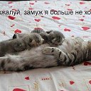 ���� ������, ���� - ��������� 3 ����� 2014 � ������ ���� ����������