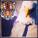 ���� �����, ������, 30 ��� - ��������� 29 ������ 2013