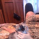 ���� ����, �����-���������, 50 ��� - ��������� 5 �������� 2013 � ������ ���� ����������