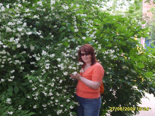  :  ... - , 51 , -