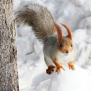 ���� �������, �������������, 70 ��� - ��������� 18 ������� 2013 � ������ ������ ��������
