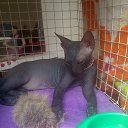  2 (), , 39  -  28  2013    