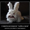 ���� �����, �������, 50 ��� - ��������� 23 ������� 2013 � ������ ���� ����������