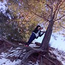 ���� �����, ������, 41 ��� - ��������� 28 ������� 2013 � ������ ���� ����������