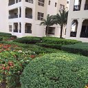 ���� Aliya, ������ - ��������� 25 ������� 2014 � ������ ������ ��������