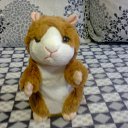 ���� ����������, ���������, 44 ���� - ��������� 28 ������ 2013 � ������ ���� ����������