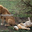 ���� Alissiya, ����� ����, 40 ��� - ��������� 5 ������� 2013 � ������ ���� ����������