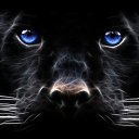 ���� �������, ���� - ��������� 13 ������ 2013 � ������ �Leo�