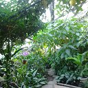 ���� ����, ����������� - ��������� 20 ������ 2014 � ������ �����������