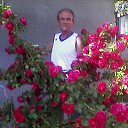 ���� ��������, ��������, 67 ��� - ��������� 27 ������� 2013 � ������ ���� ����������