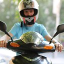 ���� ������, ����������� - ��������� 1 �������� 2013 � ������ �Untitled Album�