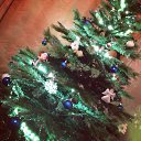 ���� ����, ��������� - ��������� 21 ������� 2013 � ������ ���� ����������