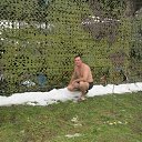 ���� ���������, ���������, 49 ��� - ��������� 2 �������� 2013 � ������ ���� ����������