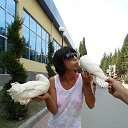 ���� ������� ���, �����, 41 ��� - ��������� 27 �������� 2013 � ������ ���� ����������