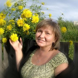 ���� ��������, �������, 55 ��� - ��������� 23 ������� 2013