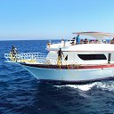 ���� �������, ���������, 36 ��� - ��������� 24 ������ 2013 � ������ ���� ����������