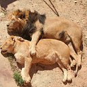  Skoj,  -  6  2014   ,,ܻ