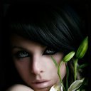 ���� �����, ������ - ��������� 5 ����� 2014 � ������ ���� ����������