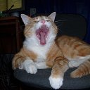  Loseff Yurij, , 63  -  2  2013    