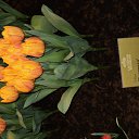 ���� Tim, ��������� - ��������� 25 ������ 2013 � ������ �������