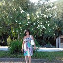 ���� �������, ��������, 48 ��� - ��������� 8 �������� 2013 � ������ ���� ����������