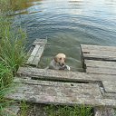 ���� ����, �����-���������, 41 ��� - ��������� 23 �������� 2013 � ������ ���� ����������