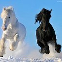 �������! �� ����� ����� ���!
 �������� ������ ������, 
� ������ ���, � ��� �����, 
� ��, ��� ������� �������; 
�� �� �������� ����� ����,
�����, ������� �����������, 
������ �����, ��� ������ �����, 
� ������, ��������� ������.� �� ������� �� ����� �����!�