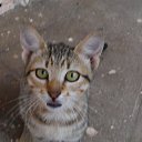 ���� Aleks, ����� ������� - ��������� 11 ������ 2013 � ������ ��������� �������.�