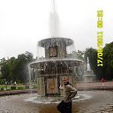 ���� ����, ������������, 41 ��� - ��������� 17 ������ 2014 � ������ ���� ����������