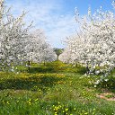 ���� �����, ������, 63 ���� - ��������� 6 �������� 2013 � ������ �� ���� �� �����