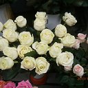 ���� �������, ����, 69 ��� - ��������� 7 ������ 2013 � ������ ���� ����������