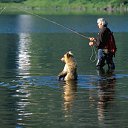 ������� ��������. � ��� �����? �� ������� ���� ����������