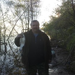 ���� ������, �����, 59 ��� - ��������� 10 �������� 2013