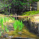 ���� ������, �����-���������, 61 ��� - ��������� 10 ����� 2014 � ������ ��������� ������, ������ 2012�