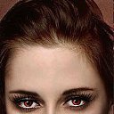 ���� ����, Los Angeles, 43 ���� - ��������� 13 ������� 2013 � ������ ���� ����������