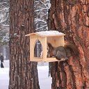 ���� ���������, �����������, 43 ���� - ��������� 5 ����� 2014 � ������ �� ���������� �����