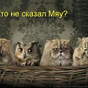 ���� �����, �����, 50 ��� - ��������� 11 ������� 2013 � ������ ������� ���� �������