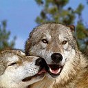 ���� �������, ��������� - ��������� 13 ������ 2013 � ������ ���� ����������