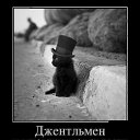 ���� ��������, ������ - ��������� 27 ������� 2013 � ������ ���� ����������