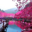 ���� ,����,, �� 105 ������, ������-��-���� - ��������� 2 ������� 2014 � ������ ������Ż