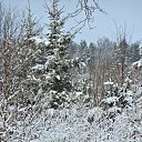 ������ ��� �� ������� ������ ��������