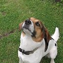 ���� ��������, �����-��������� - ��������� 7 ������� 2013 � ������ ���� ����������