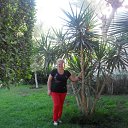 ���� ��������, �������, 65 ��� - ��������� 30 �������� 2013 � ������ ���� ����������