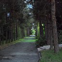 ���� �������, ������, 56 ��� - ��������� 14 �������� 2013 � ������ �Tropikania�