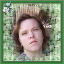 ���� ����, ����-�����������, 41 ��� - ��������� 3 ������� 2014 � ������ ���� ����������