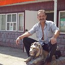  , -, 61  -  12  2013    