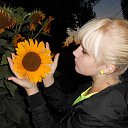 ���� �������, ����, 31 ��� - ��������� 19 ������ 2014 � ������ ���� ����������