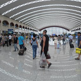 �����������